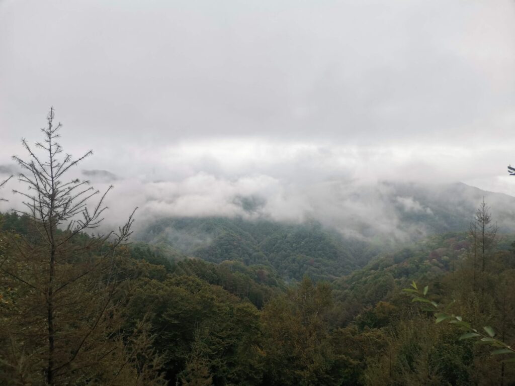 山