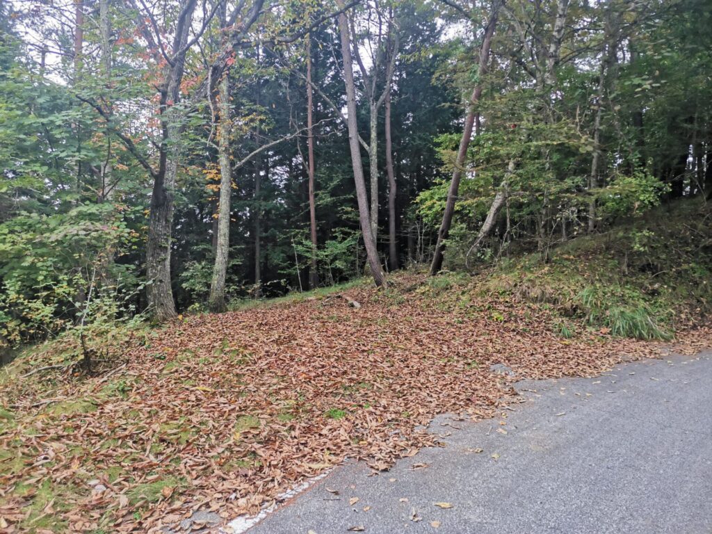 路肩駐車場