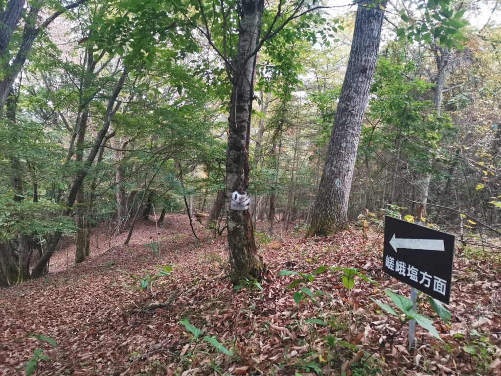 嵯峨塩 道標