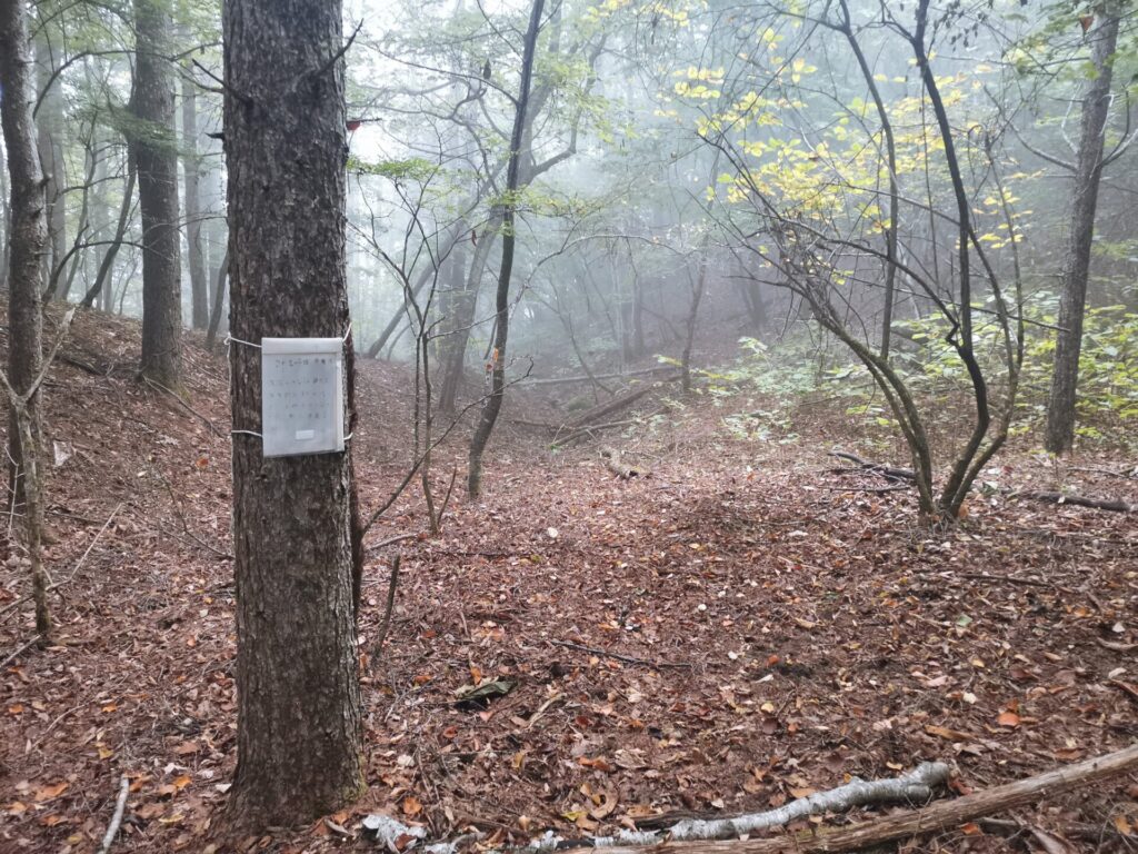 登山道