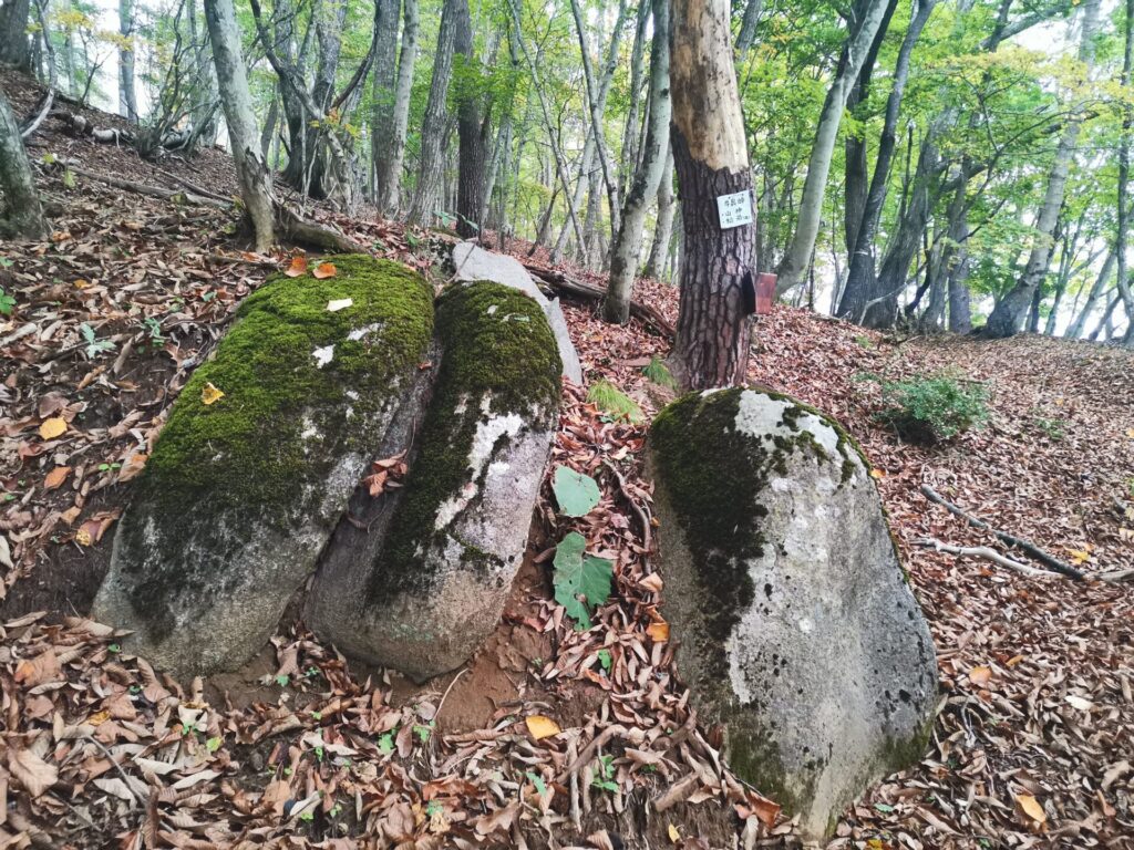 蛤岩