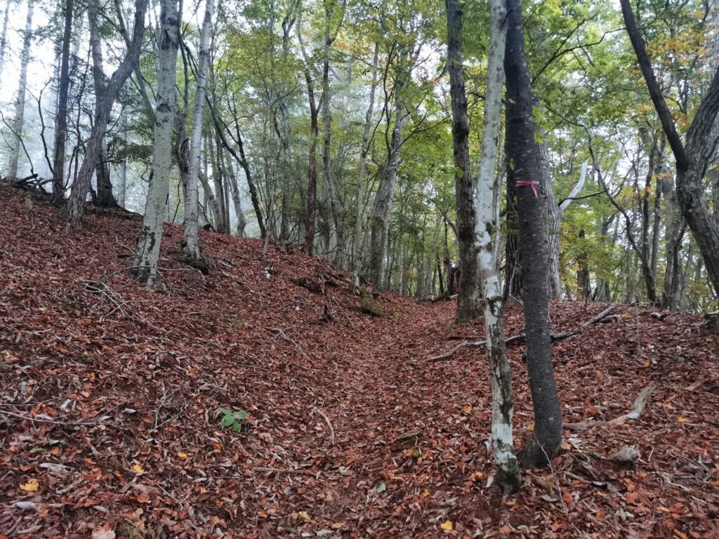 登山道