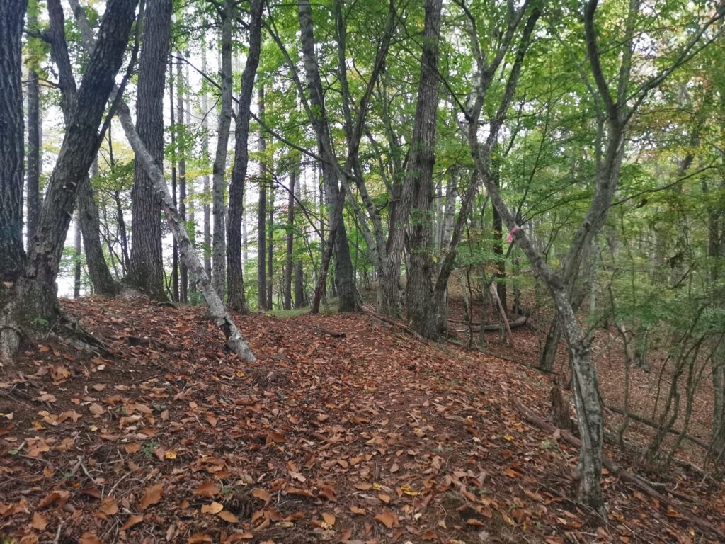 登山道