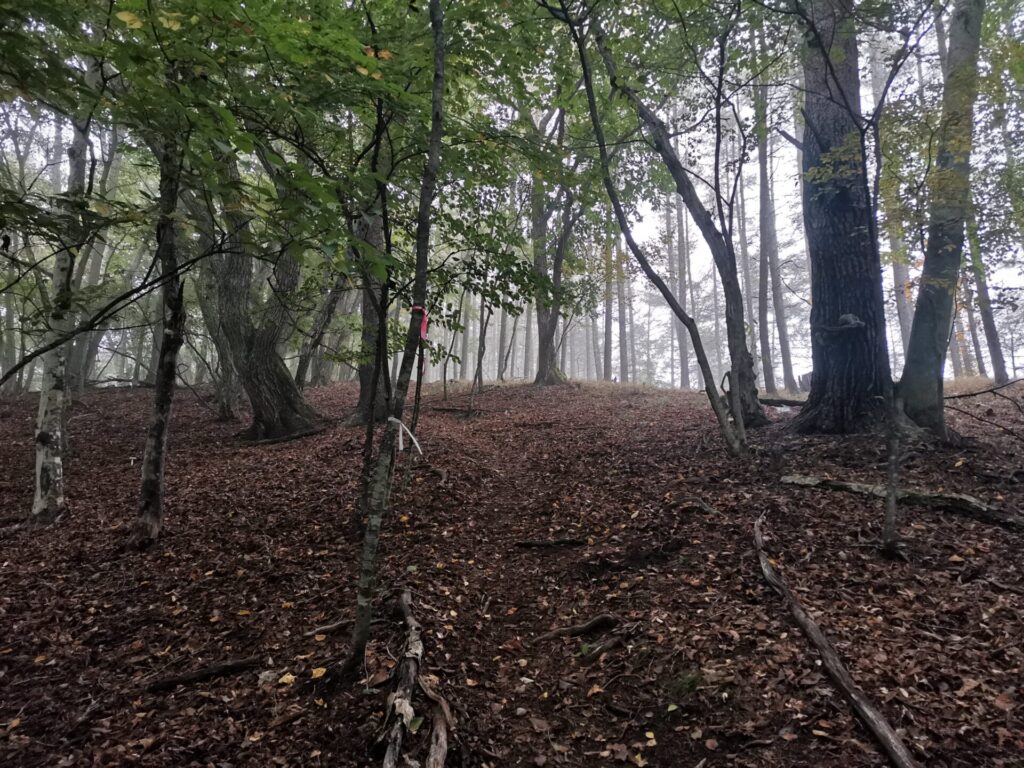 登山道