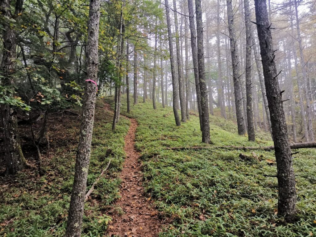 登山道
