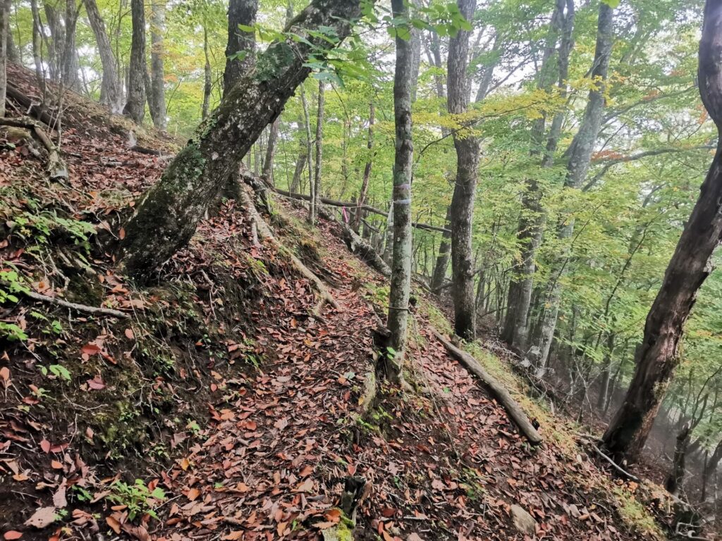 登山道