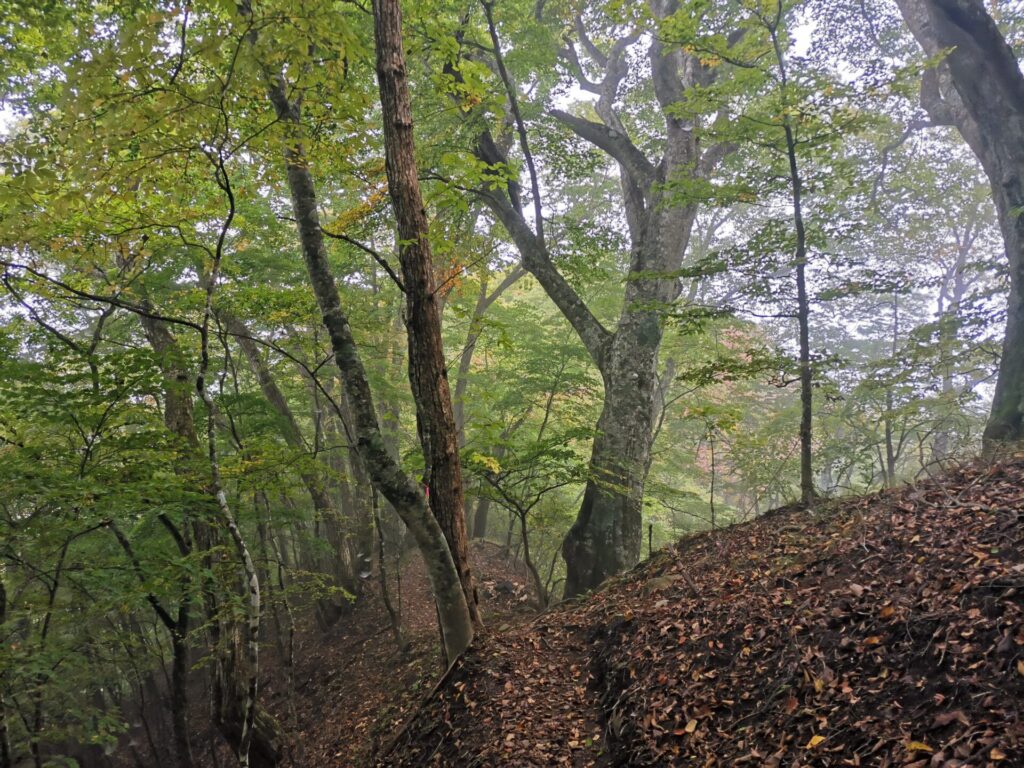 登山道