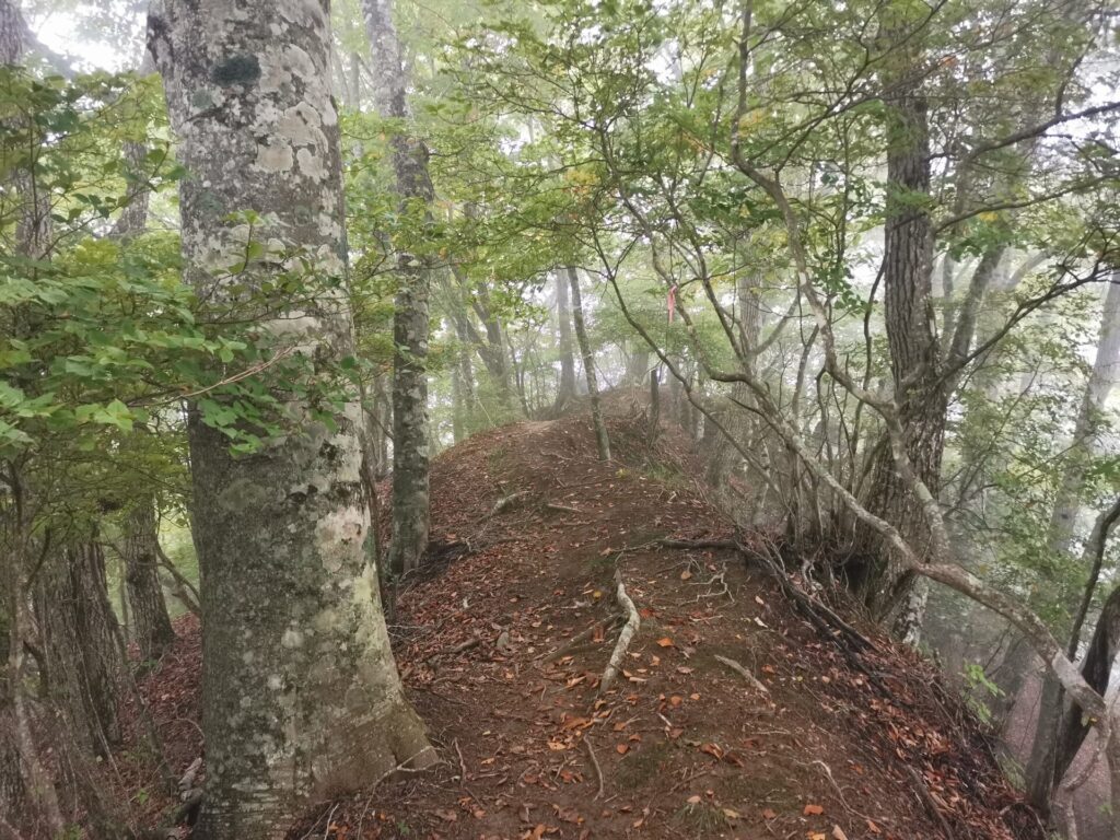 登山道