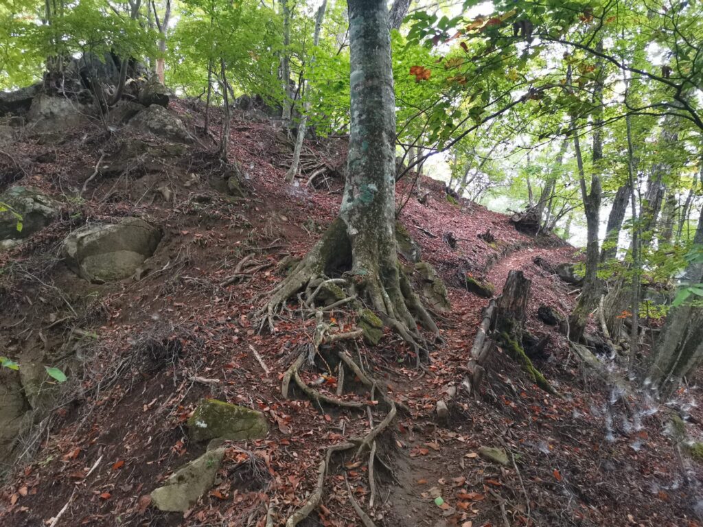 登山道