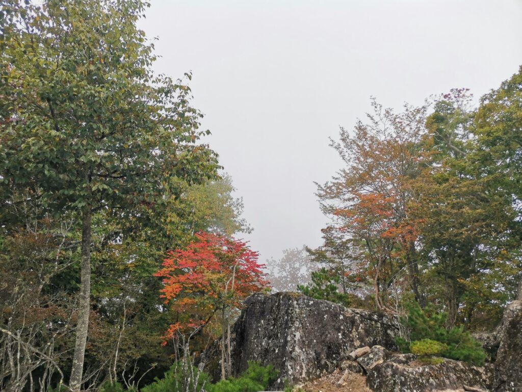 源次郎岳 山頂