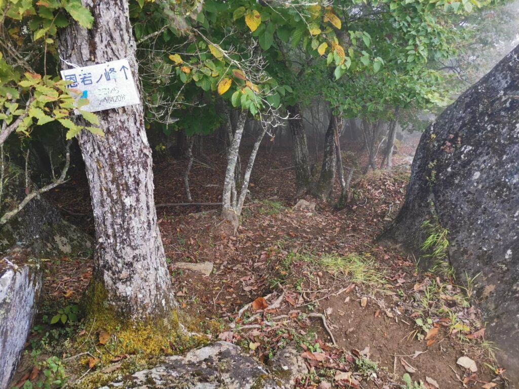 恩若ノ峰 登山道