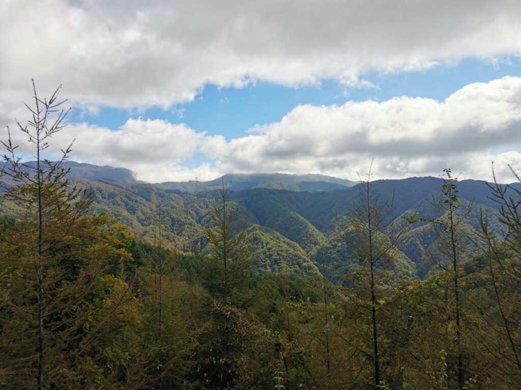 山