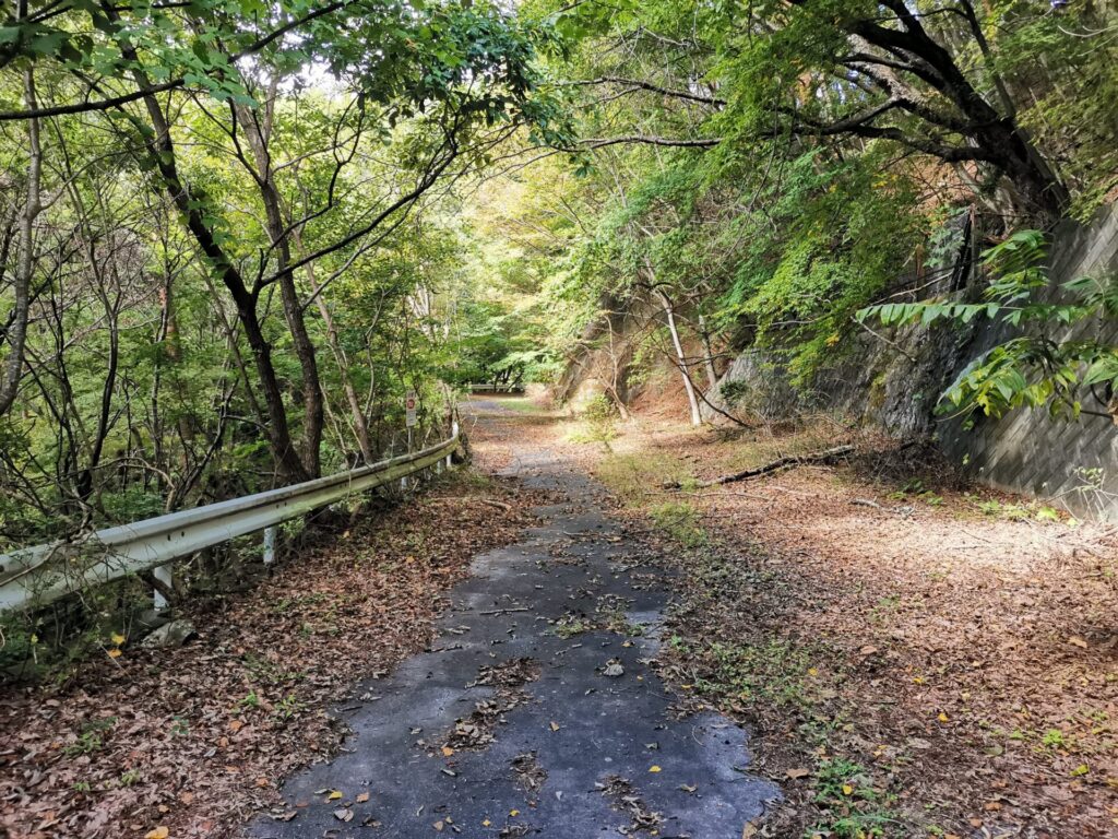 道路
