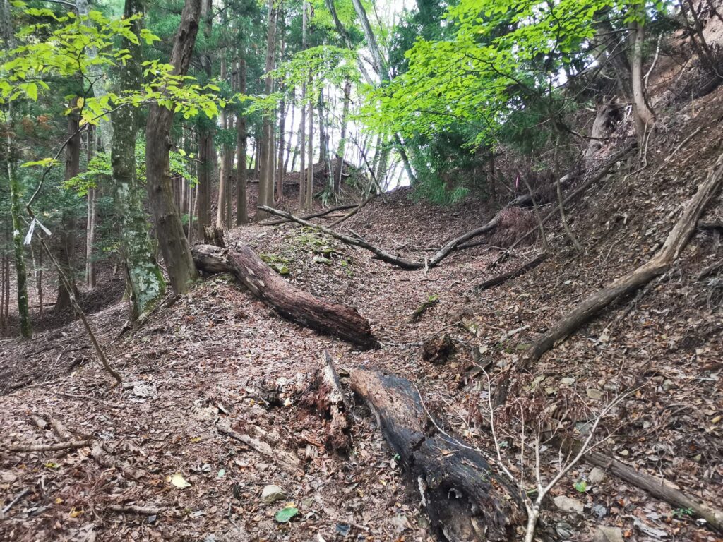 登山道