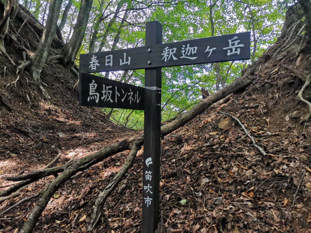 鳥坂峠 道標