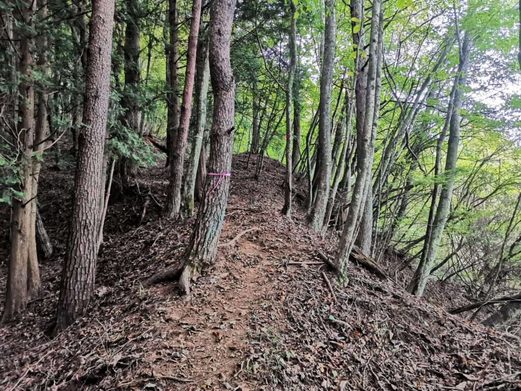 登山道