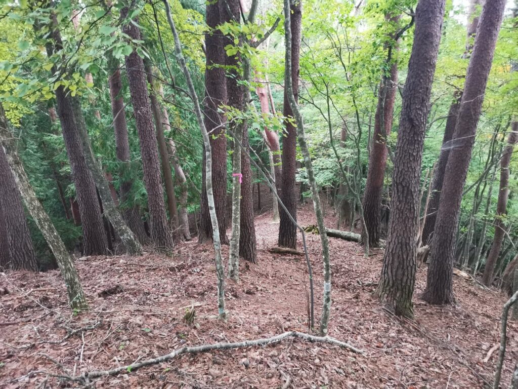 登山道
