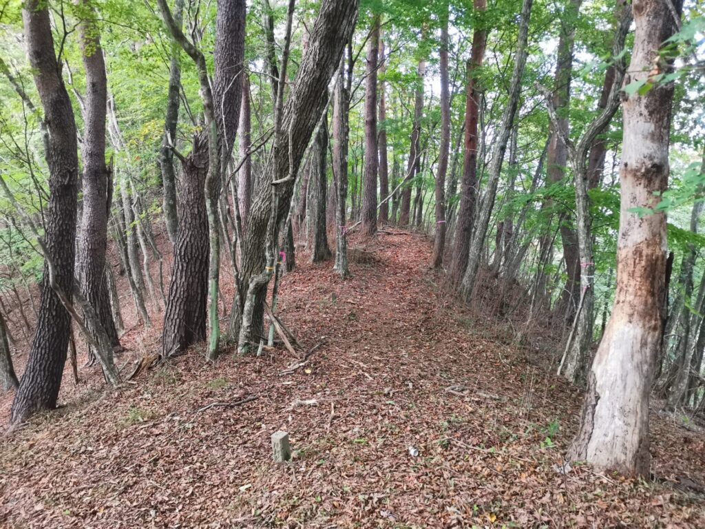 登山道