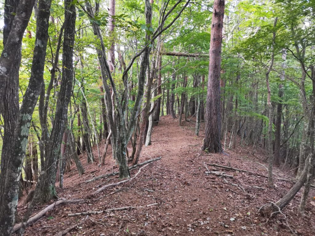 登山道
