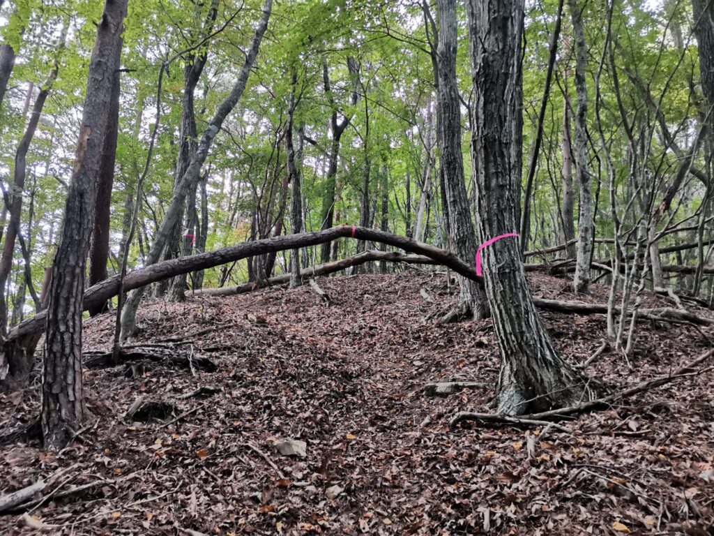 登山道