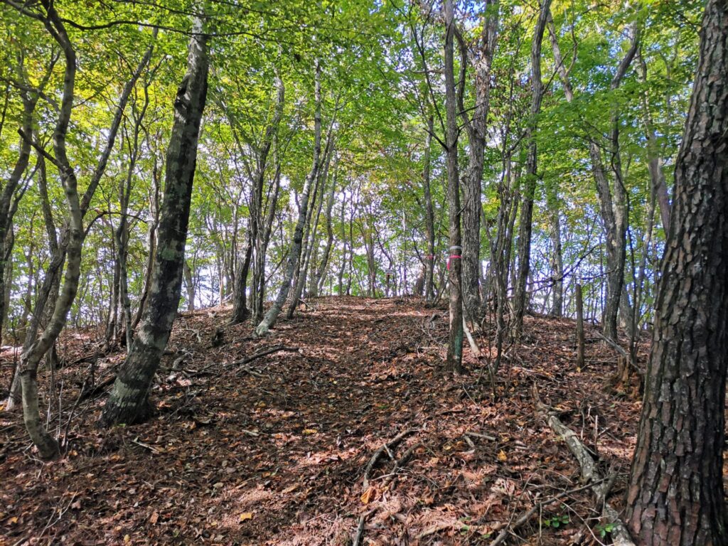 登山道
