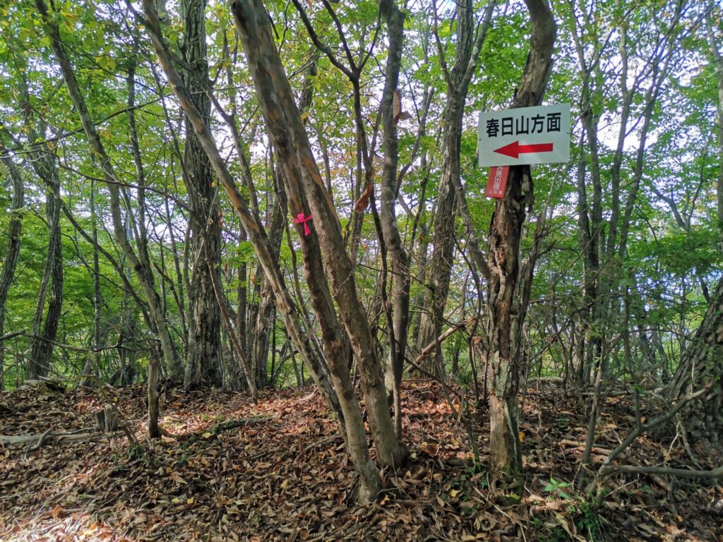 春日山方面 看板