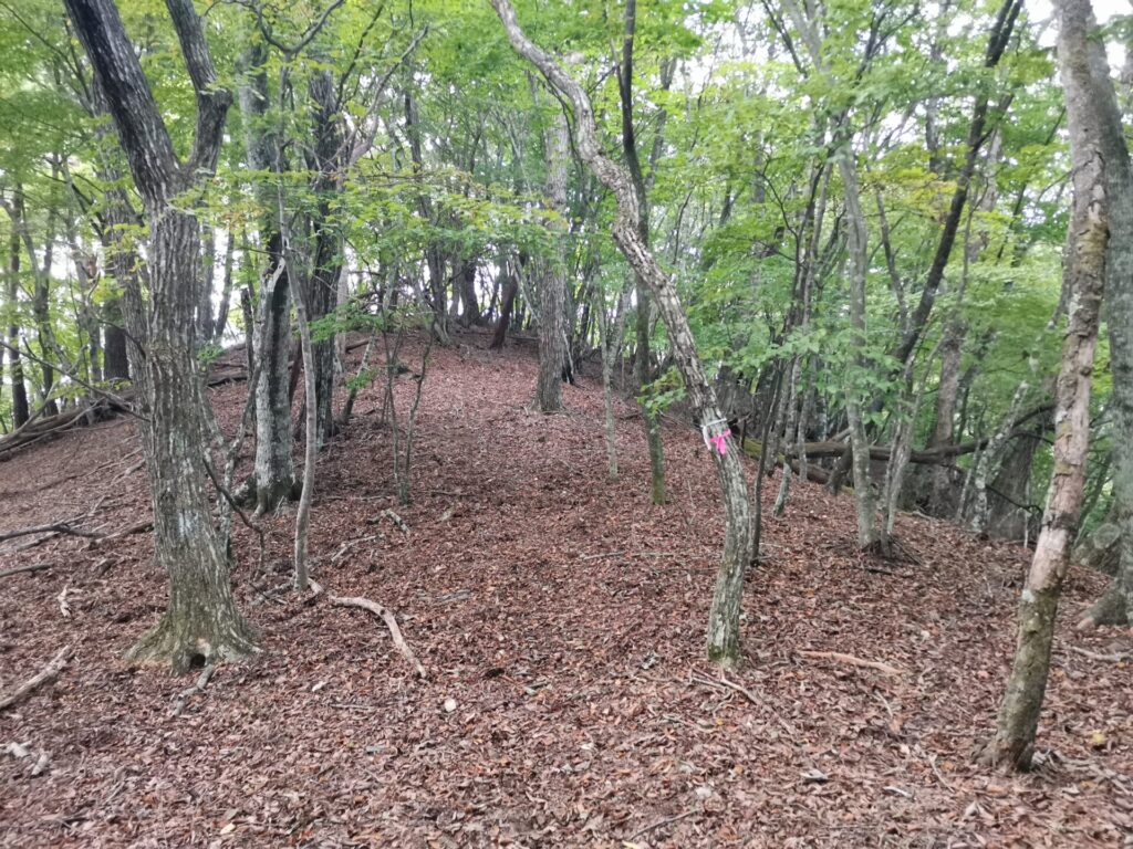 登山道