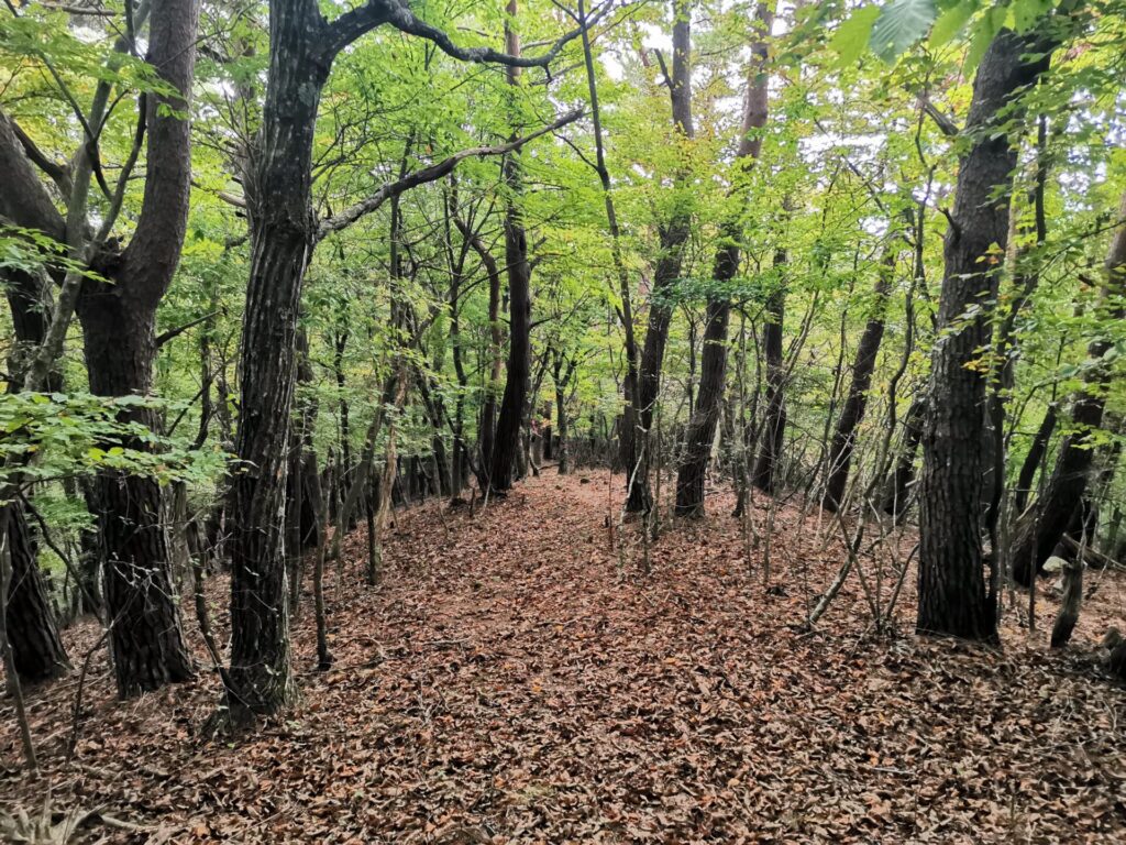 登山道
