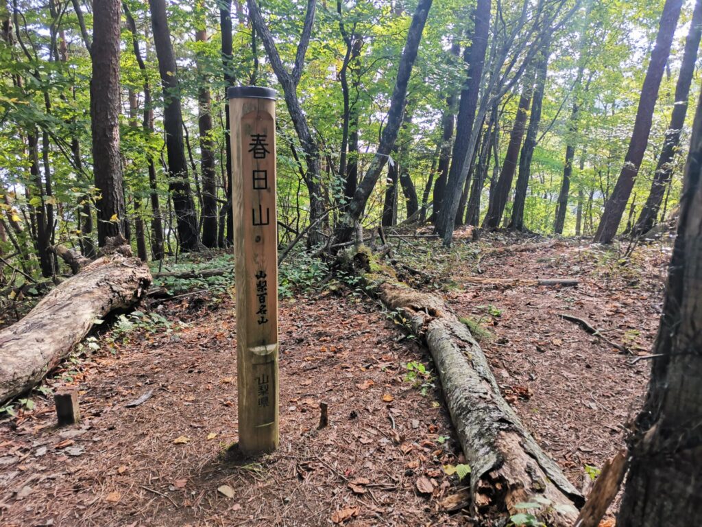 春日山 標柱