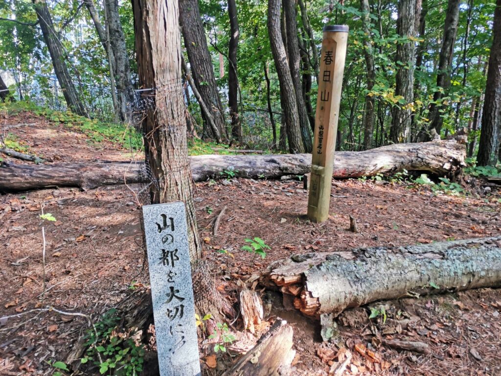 春日山 山頂