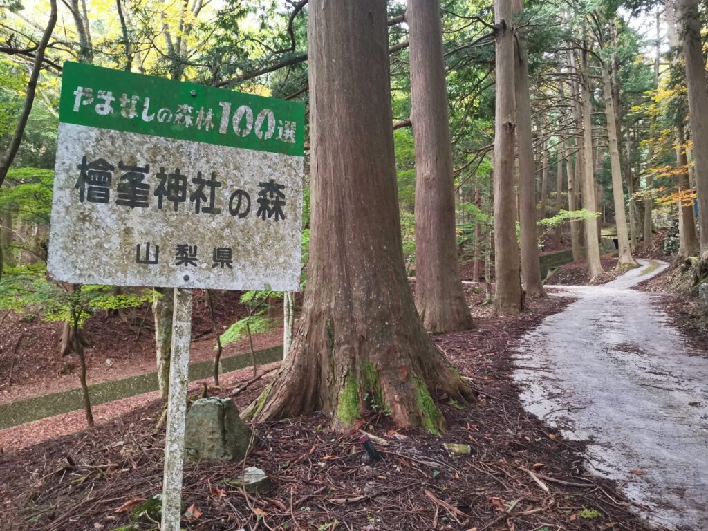 檜峰神社の森