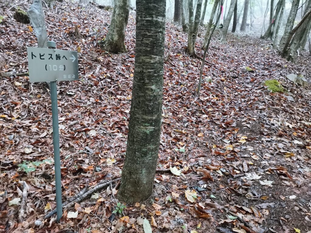 トビス峠 道標