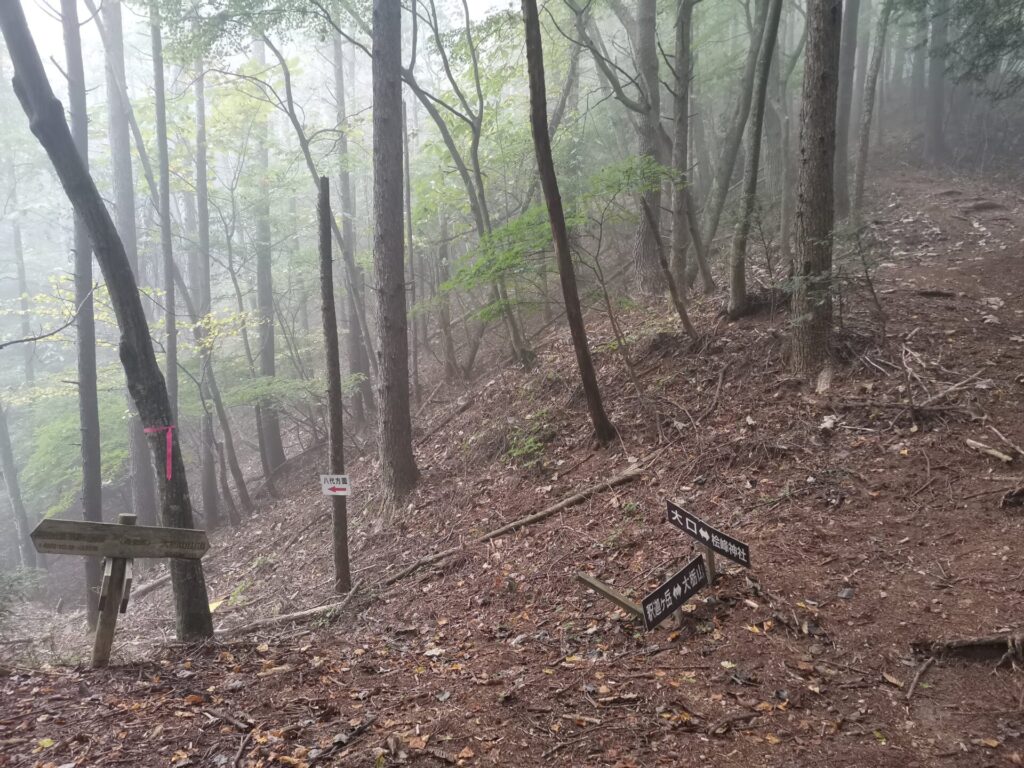 八代 大口 道標