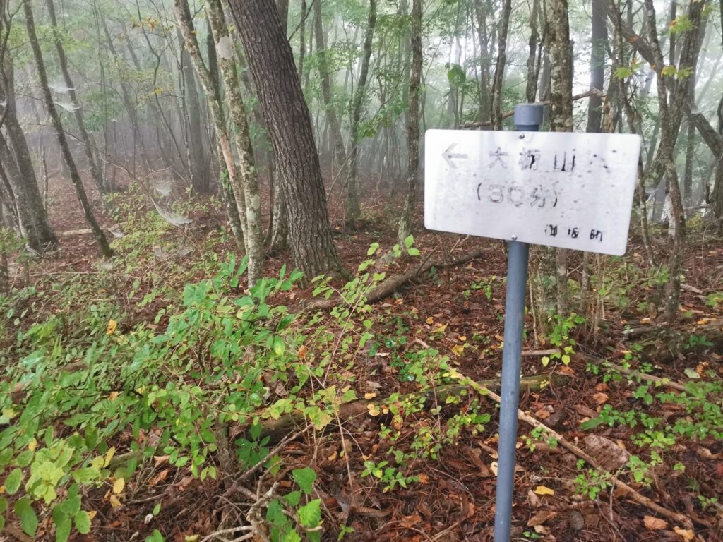 大栃山 道標