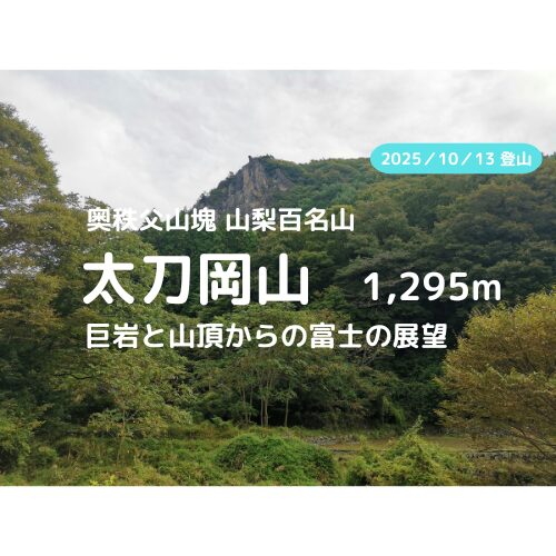 太刀岡山 アイキャッチ
