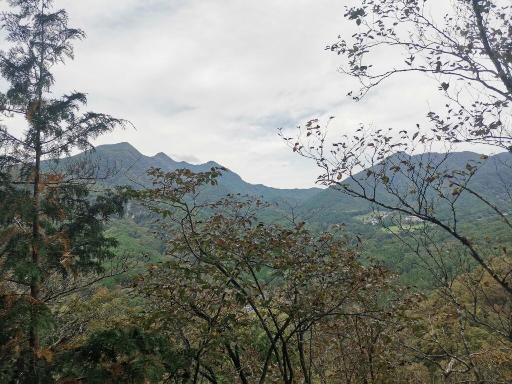 茅ヶ岳 金ヶ岳 曲岳