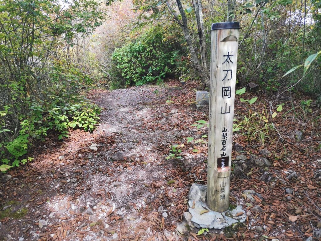 太刀岡山 山梨百名山 標柱
