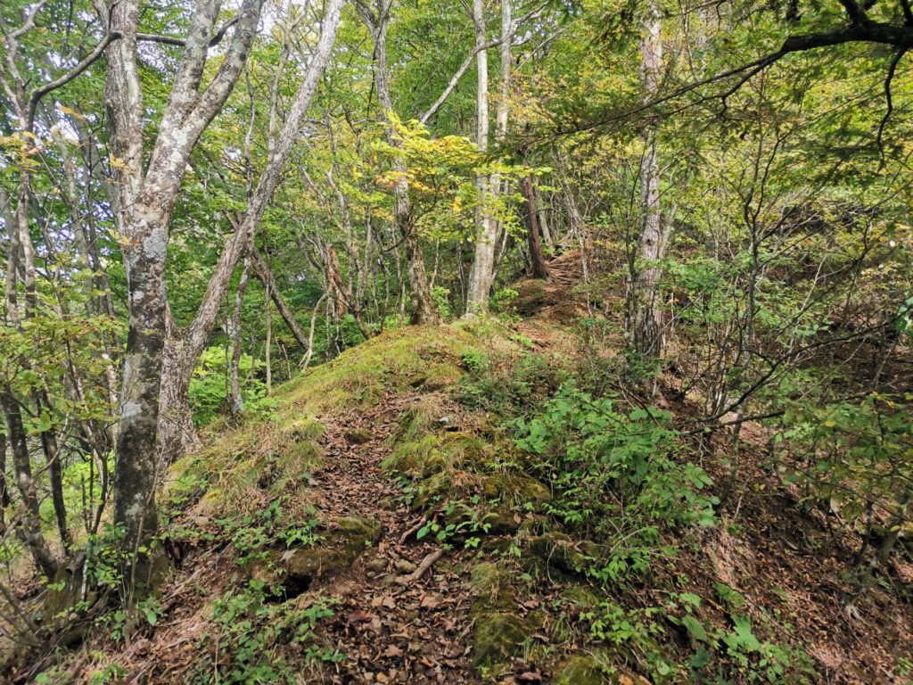 登山道 尾根