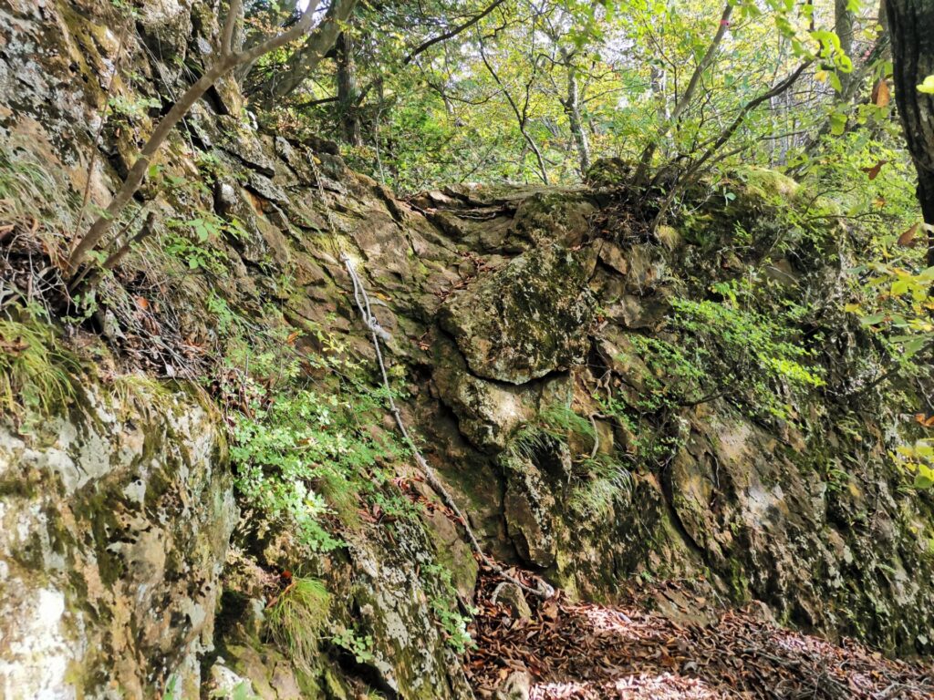 登山道 岩
