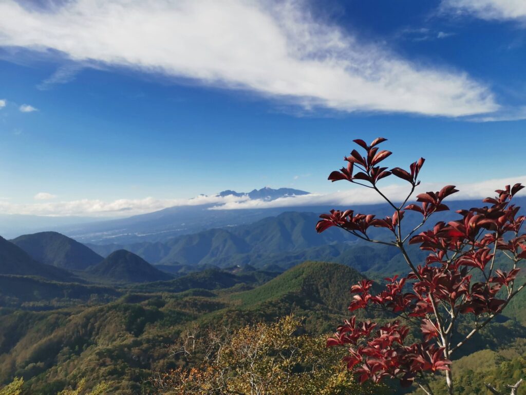 展望ブリッジ 八ヶ岳
