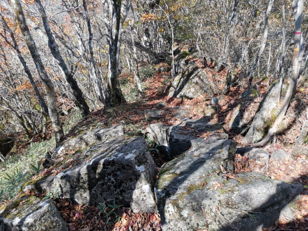 登山道 岩