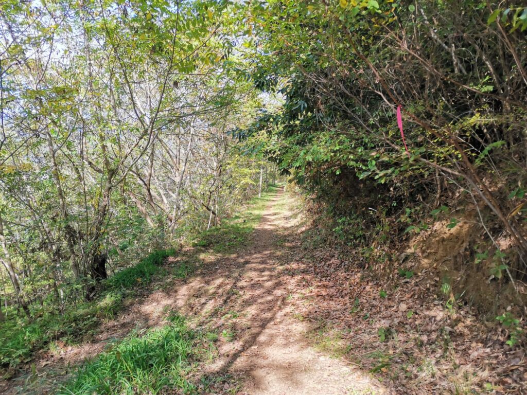 登山道