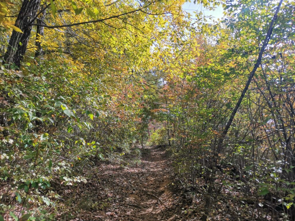 塩ノ山自然遊歩道