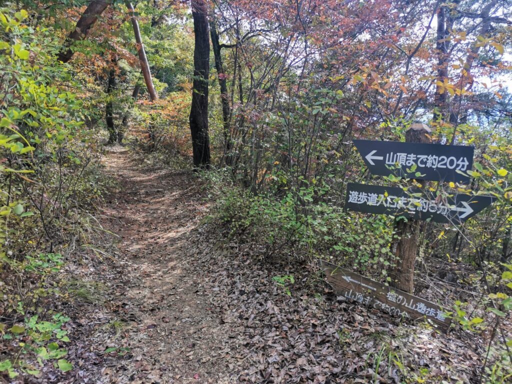 塩ノ山 山頂 道標