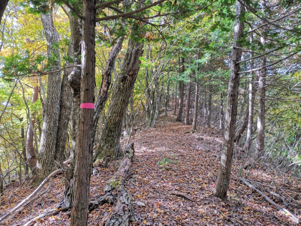 登山道 ピンクリボン