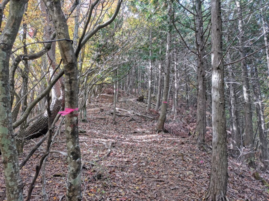 登山道 ピンクリボン