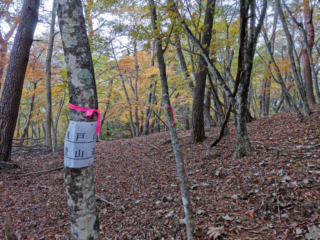 滝戸山 登山道