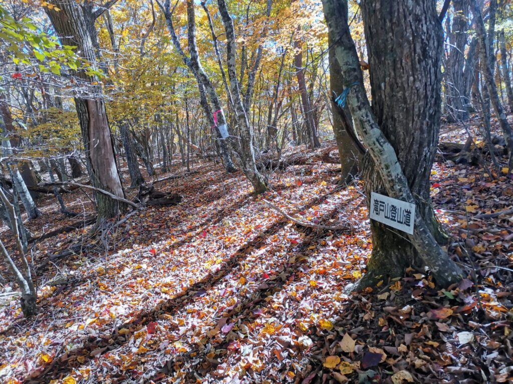 滝戸山 登山道