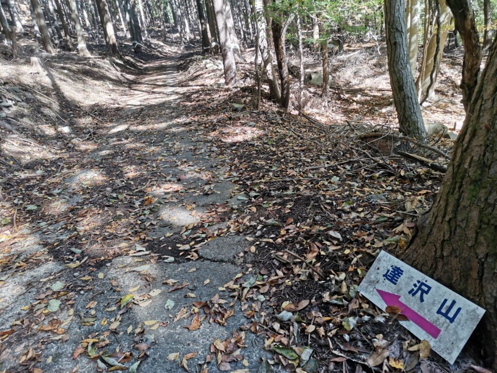 達沢山 道標