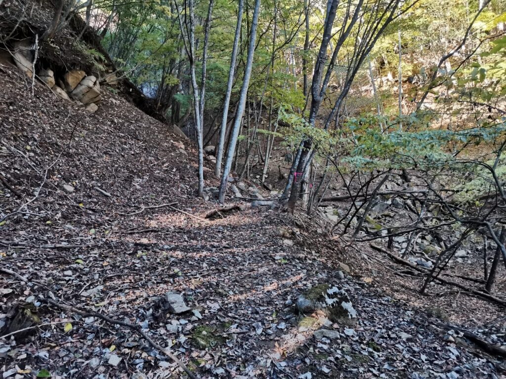 登山道 ピンクリボン
